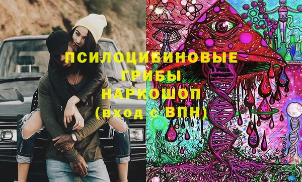 сатива Алзамай