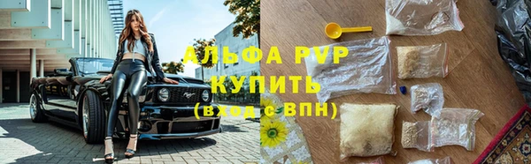 сатива Алзамай