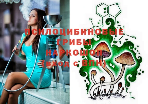 не бодяженный Алексин