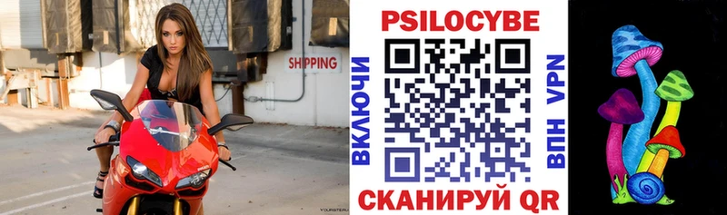 Галлюциногенные грибы прущие грибы  Кинель 
