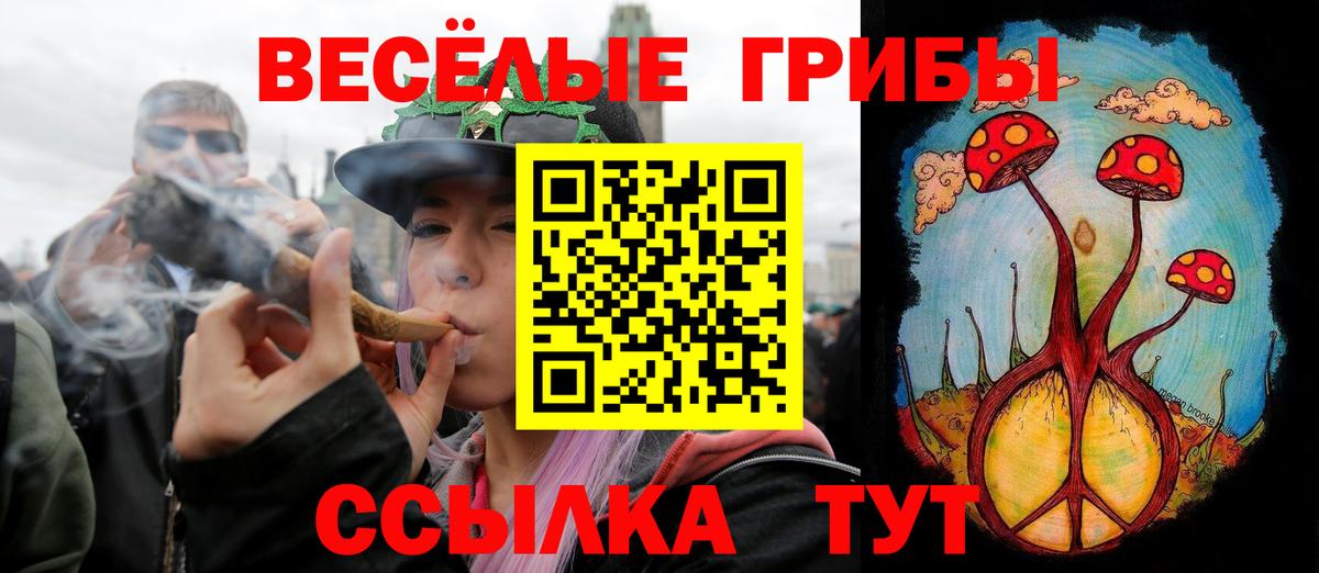 Псилоцибиновые грибы GOLDEN TEACHER  цена   Псилоцибиновые грибы ЛСД  Кинель  Вход с VPN 