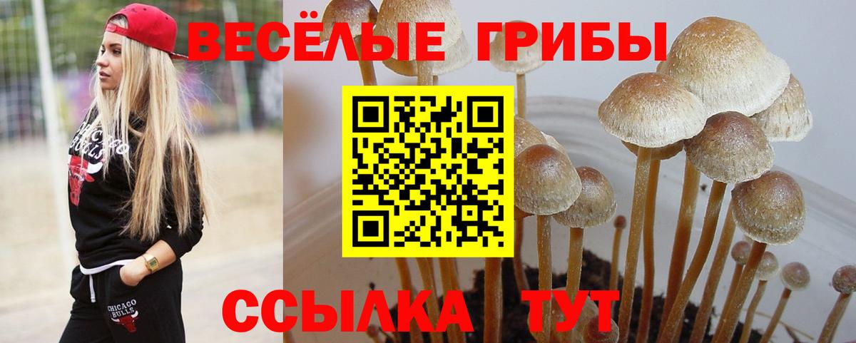 Псилоцибиновые грибы мухоморы Кинель